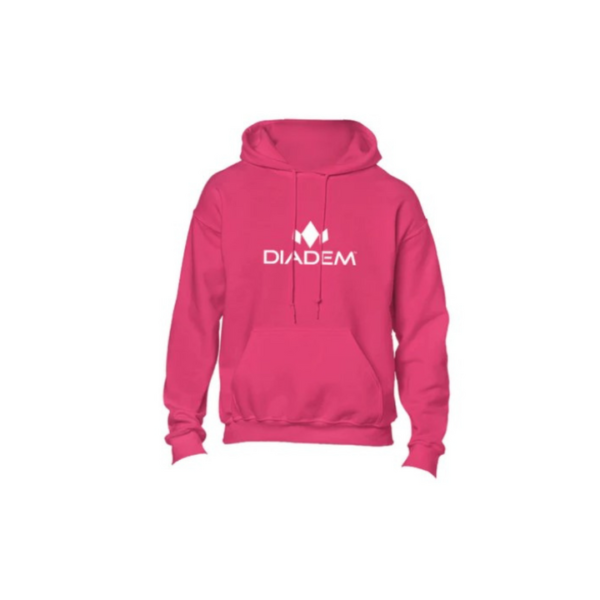 Unisex Logo Hoody - Image 2